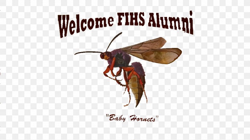 Alumni Association Alumnus Fairfield Industrial High School Wasp Mail, PNG, 1100x619px, Alumni Association, Address, Alabama, Alumnus, Arthropod Download Free
