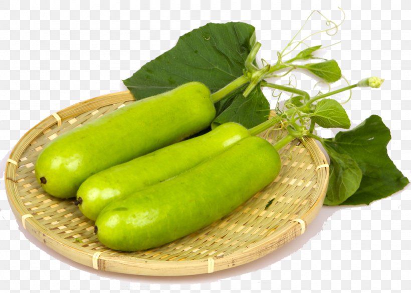 Calabash U74e0u5b50 Eating Cucurbitaceae Bitterness, PNG, 1024x733px, Calabash, Bitterness, Cucumber, Cucurbitaceae, Diet Food Download Free