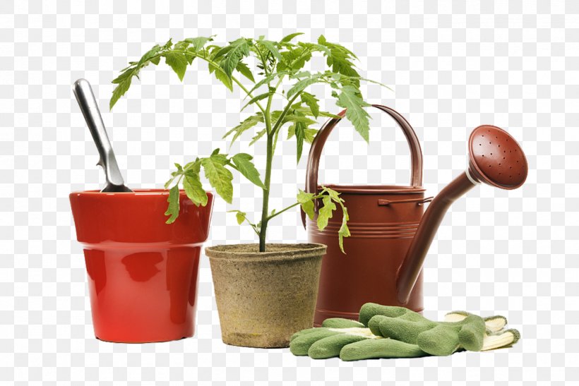 Gardening Tools And Small Potted Plants, PNG, 1469x980px, Hand Tool, Back Garden, Container Garden, Diet Food, Flowerpot Download Free