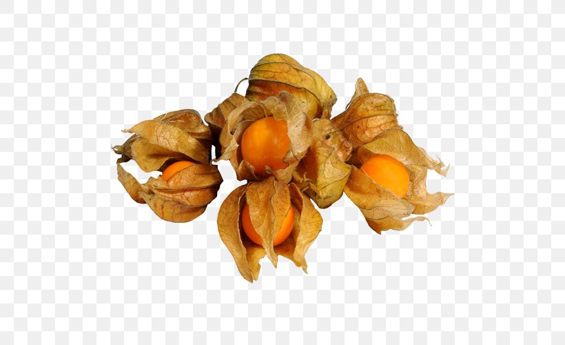Peruvian Groundcherry Vegetable Physalis, PNG, 500x500px, Peruvian Groundcherry, Food, Fruit, Orange, Physalis Download Free