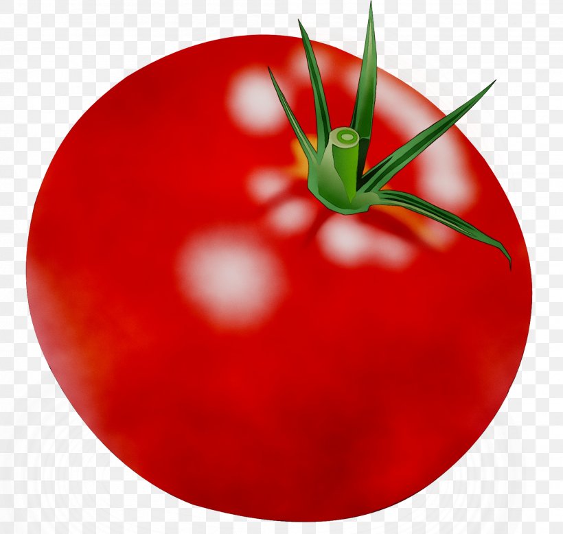 Plum Tomato Bush Tomato Food YouTube, PNG, 2015x1913px, Plum Tomato, Bush Tomato, Cherry Tomatoes, Diet, Diet Food Download Free