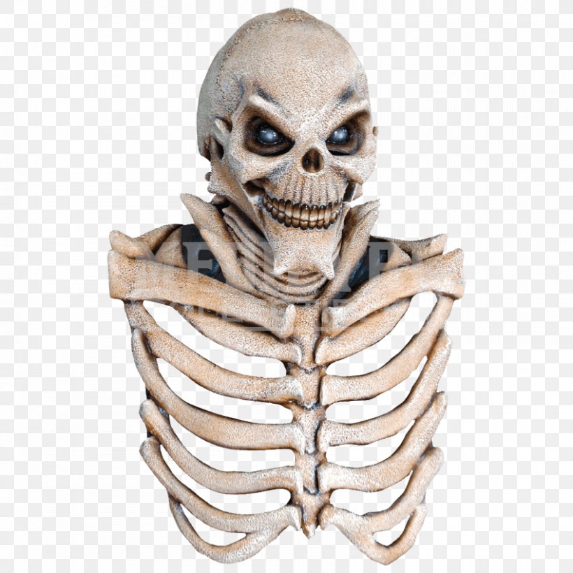 Skull Mask Skeleton Halloween Costume Clothing Accessories, PNG, 850x850px, Skull, Bone, Calavera, Clothing Accessories, Costume Download Free