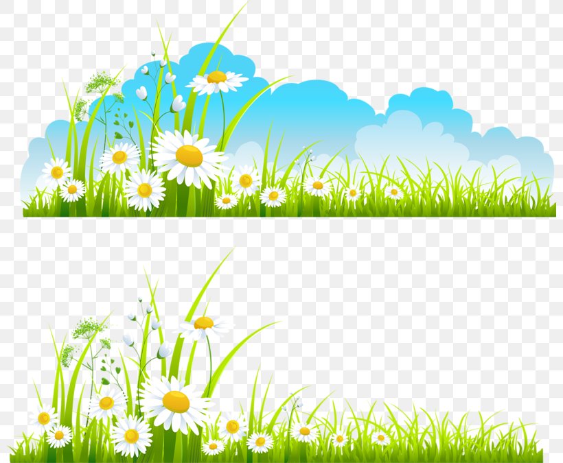Spring Free Content Clip Art, PNG, 800x675px, Spring, Blog, Daisy, Document, Energy Download Free