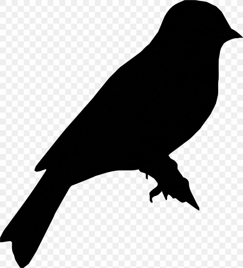 Vector Graphics Stock Photography Royalty-free Illustration, PNG, 2043x2256px, Stock Photography, American Crow, Beak, Bird, Crow Download Free