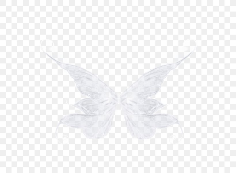 White Moth, PNG, 600x600px, White, Black And White, Butterfly, Insect, Invertebrate Download Free