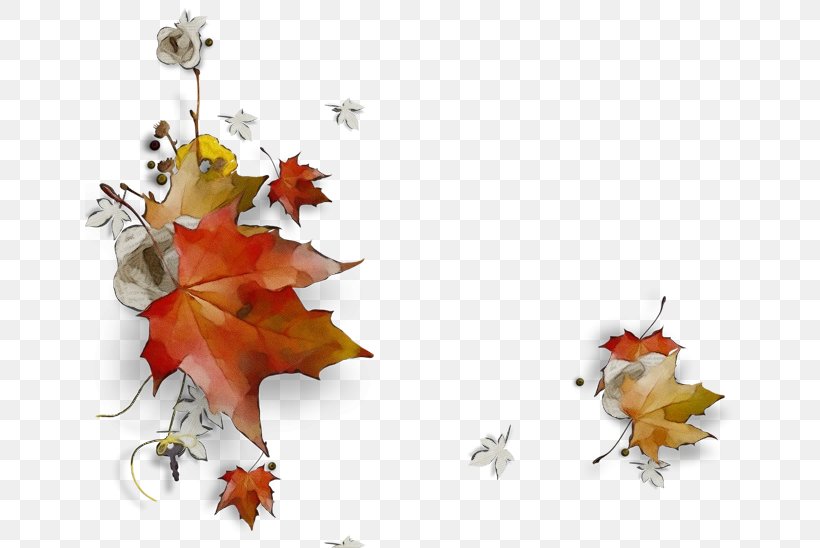 Autumn Leaf Drawing, PNG, 650x548px, Watercolor, Autumn, Black Maple, Drawing, Flower Download Free