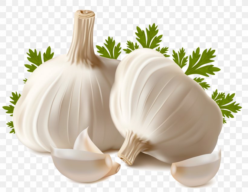 Garlic Bread Vegetable Clip Art, PNG, 3000x2324px, Garlic Bread, Clove, Food, Garlic, Garlic Oil Download Free