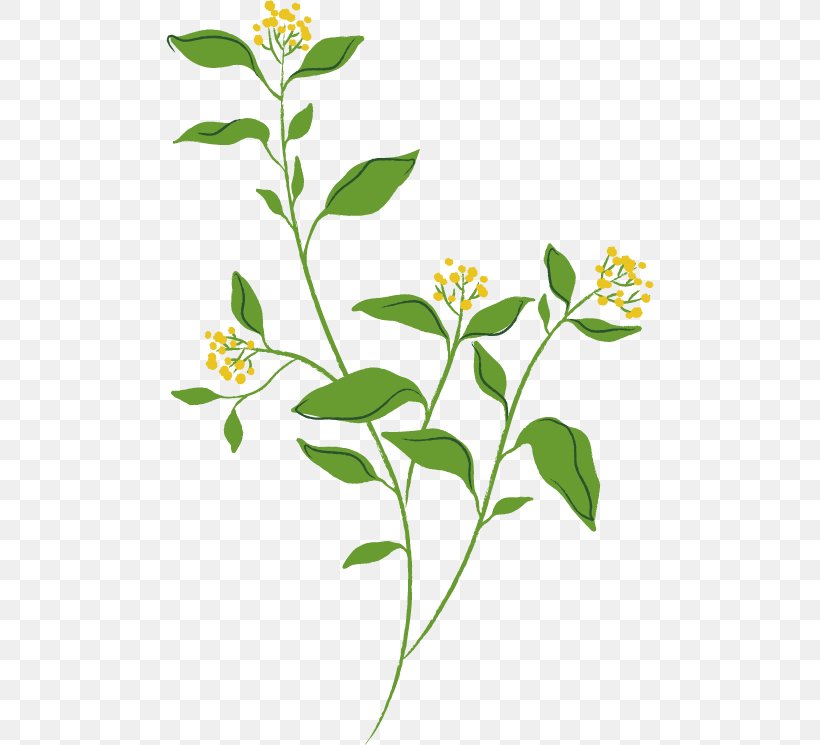 Spring Flower Image., PNG, 488x745px, Drawing, Art, Artwork, Branch, Cut Flowers Download Free