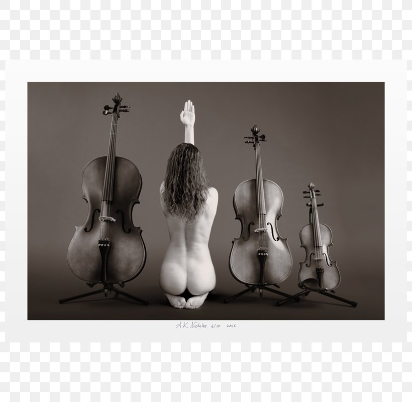 Cello Violin Still Life, PNG, 800x800px, Cello, Black And White, Bowed String Instrument, Monochrome, Musical Instrument Download Free