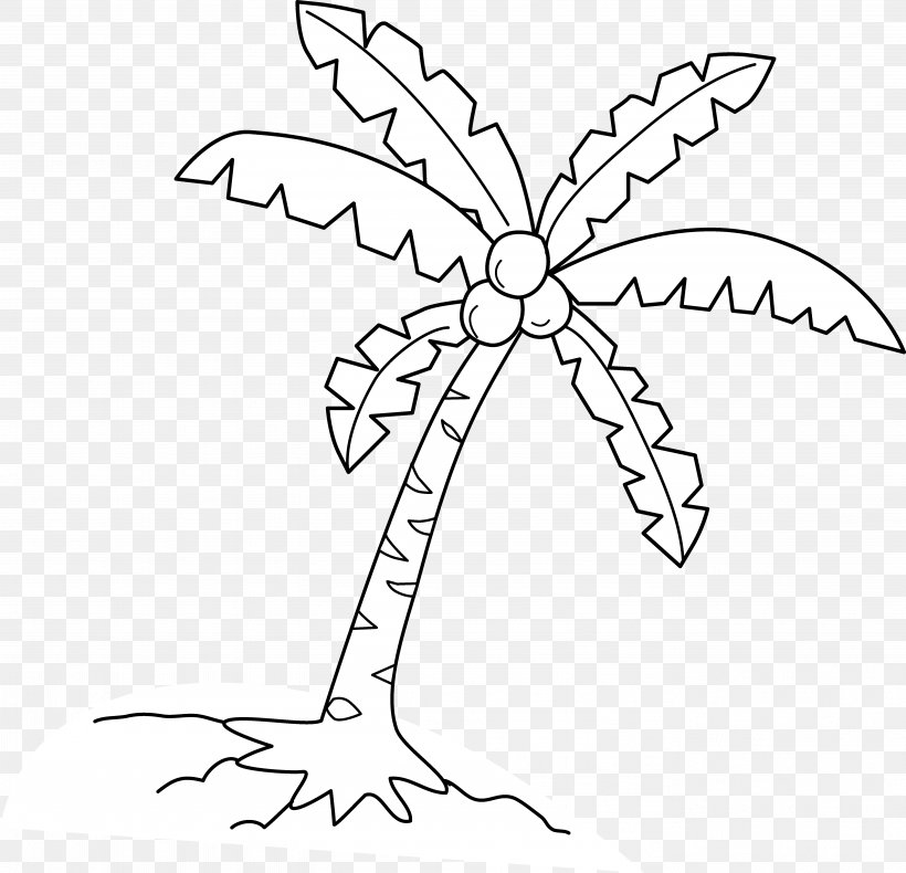 Coconut Arecaceae Clip Art, PNG, 5528x5332px, Coconut, Area, Arecaceae, Black And White, Branch Download Free