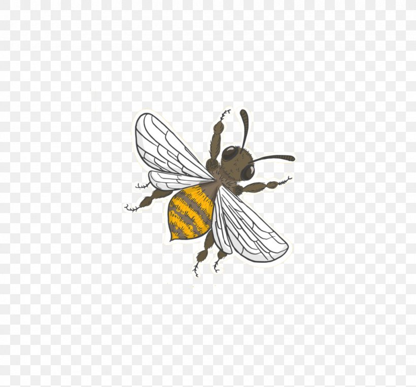 Honey Bee Apidae, PNG, 1024x953px, Honey Bee, Apidae, Arthropod, Bee, Butterfly Download Free