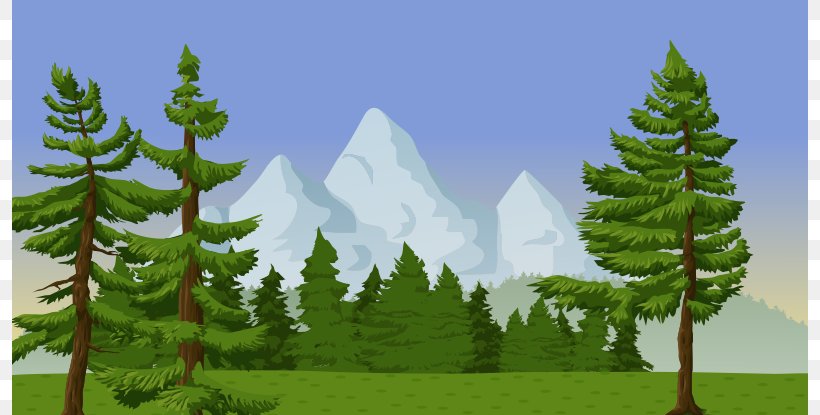 Pine Mountain Tree Clip Art, PNG, 796x415px, Pine, Biome, Branch, Conifer, Conifers Download Free