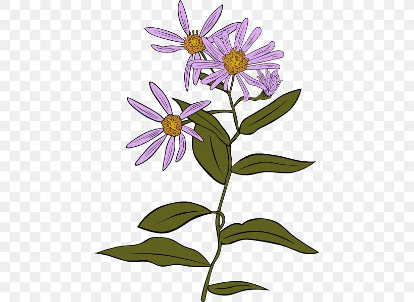 Aster Alpinus Aster Conspicuus Clip Art, PNG, 444x599px, Aster Alpinus, Artwork, Aster, Aster Conspicuus, Birth Flower Download Free