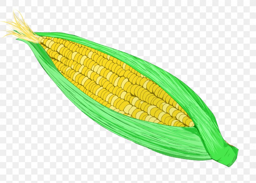 Corn On The Cob Sweet Corn Food Illustration, PNG, 1000x716px, Corn On The Cob, Baking, Book Illustration, Broomcorn, Commodity Download Free