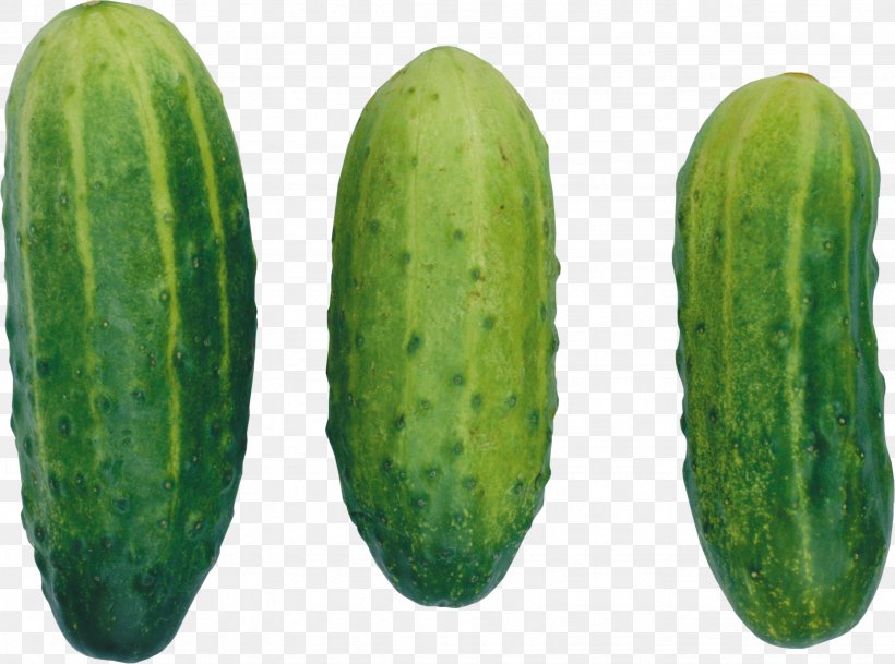 Cucumber Icon, PNG, 3287x2443px, Cucumber, Clipping Path, Cucumber Gourd And Melon Family, Cucumis, Digital Image Download Free