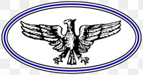 Karlsruher SC Stuttgarter Kickers Sports Association PNG