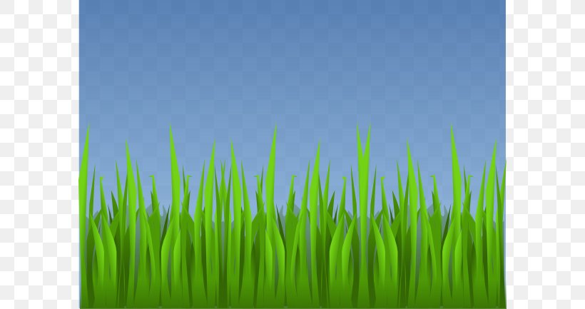 Lawn Grass Garden Clip Art, PNG, 600x433px, Lawn, Cartoon, Computer, Drawing, Energy Download Free