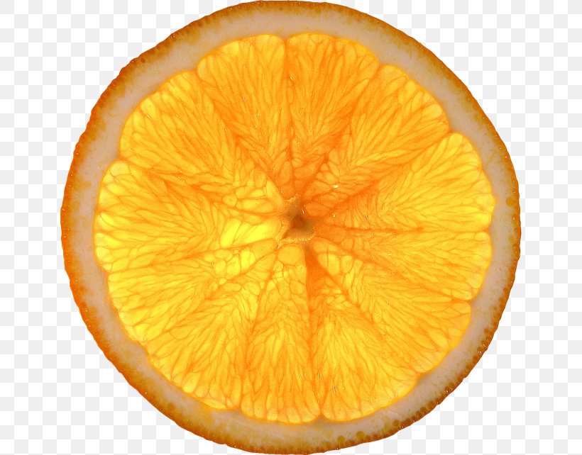 Lemon Mandarin Orange Fruit Orange Slice, PNG, 650x642px, Lemon, Blood Orange, Citric Acid, Citron, Citrus Download Free