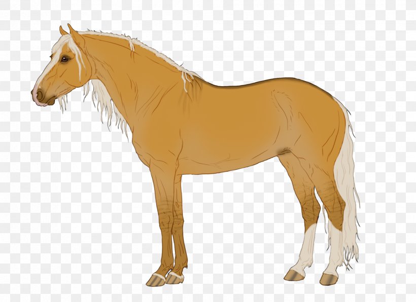 Mane Mustang Stallion Pony Mare, PNG, 1835x1335px, Mane, Animal Figure, Bridle, Halter, Horse Download Free
