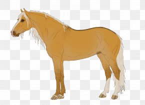 Mustang - Mane Mustang Stallion Pony Mare PNG