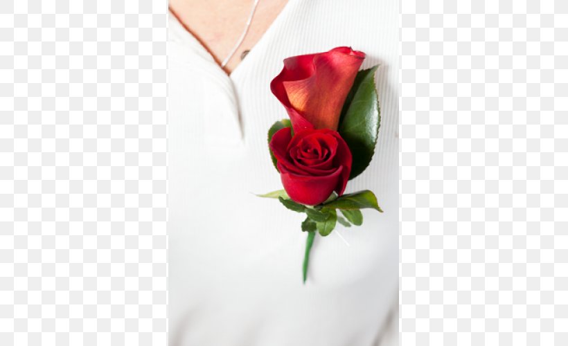 Garden Roses Buttonhole Cut Flowers, PNG, 500x500px, Garden Roses, Artificial Flower, Arumlily, Button, Buttonhole Download Free