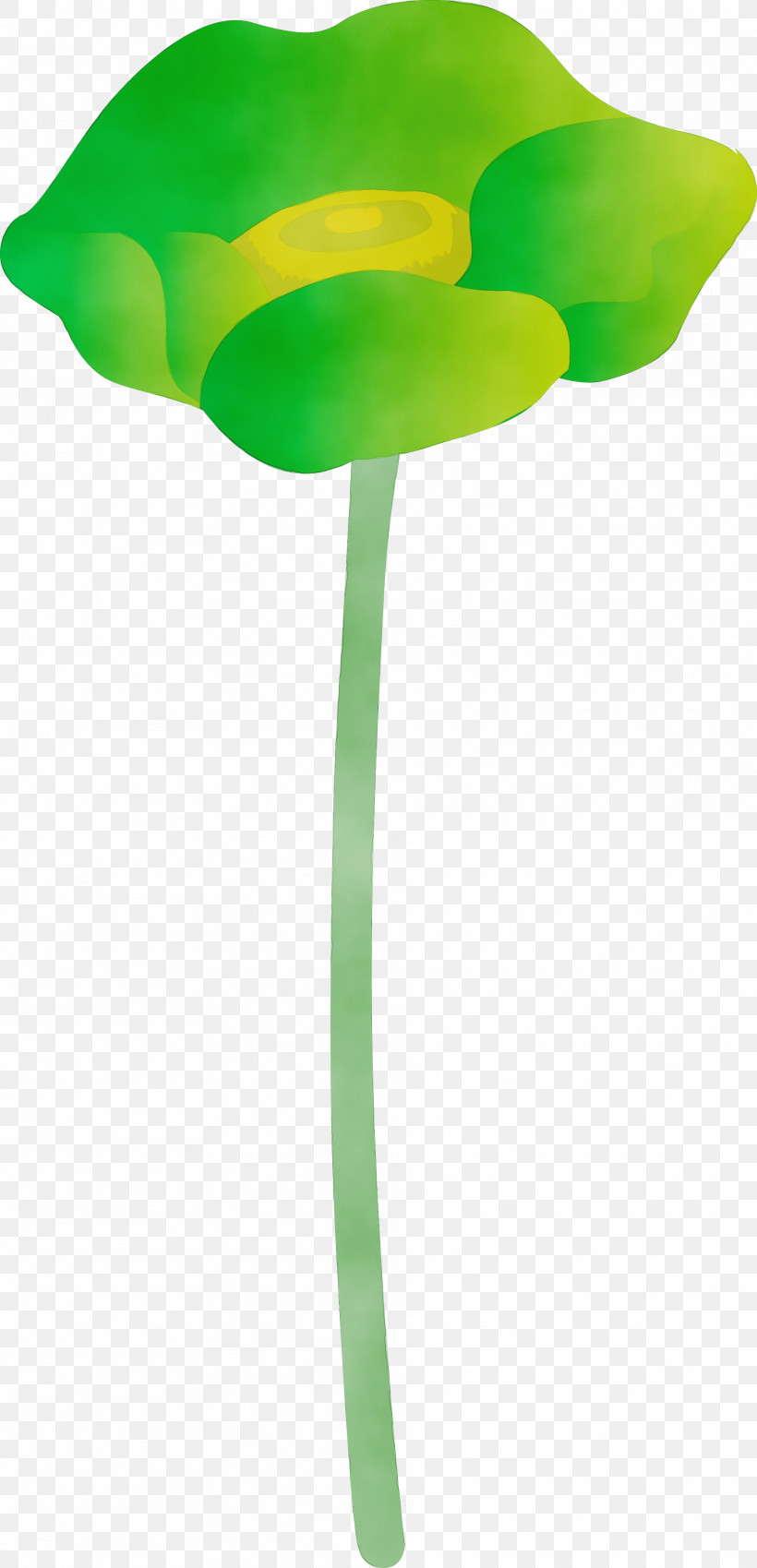 Green Leaf Tulip Plant Stem Plant, PNG, 1872x3879px, Watercolor, Flower, Green, Leaf, Paint Download Free