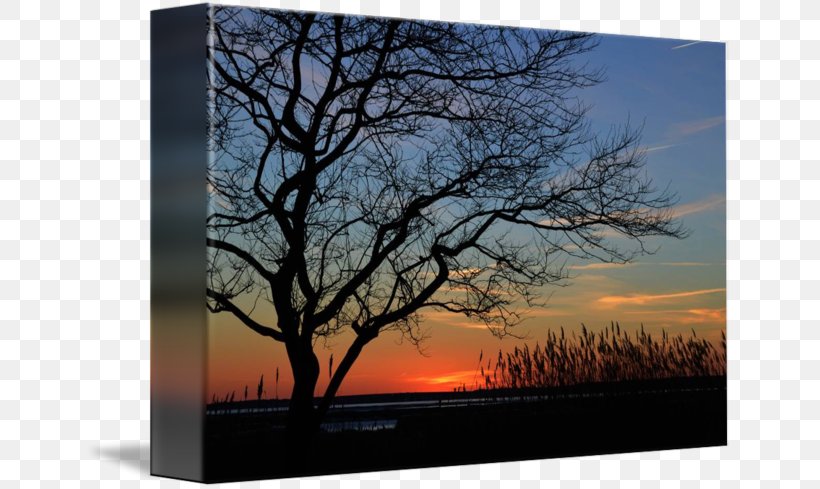 Ocean City Canvas Print Fine Art, PNG, 650x489px, Ocean City, Art, Artist, Branch, Canvas Download Free