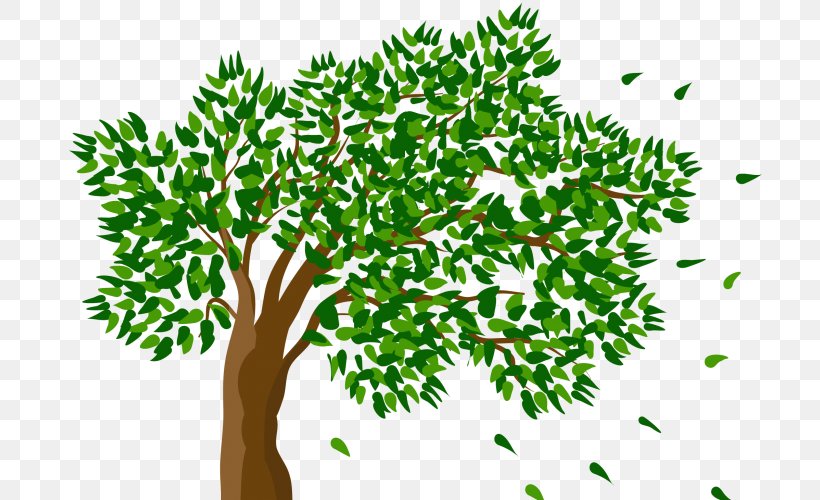 Clip Art Image Transparency, PNG, 750x500px, Tree, Branch, Child, Drawing, Flowerpot Download Free