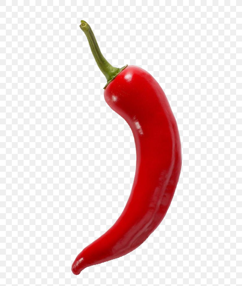 Serrano Pepper Birds Eye Chili Cayenne Pepper Tabasco Pepper Malagueta Pepper, PNG, 773x966px, Serrano Pepper, Auglis, Bell Peppers And Chili Peppers, Bird S Eye Chili, Birds Eye Chili Download Free