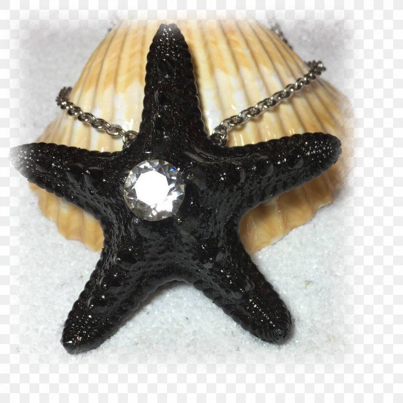 Starfish, PNG, 1200x1200px, Starfish, Echinoderm, Invertebrate, Marine Invertebrates Download Free