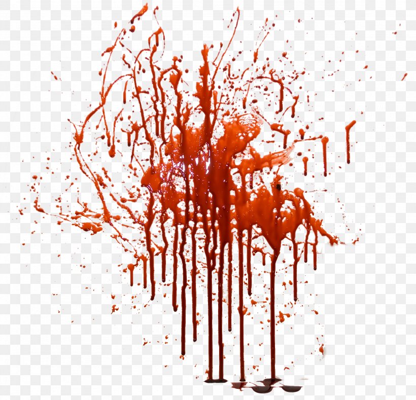 Blood Icon, PNG, 2304x2217px, Blood, Binary Large Object, Branch, Display Resolution, Illustration Download Free