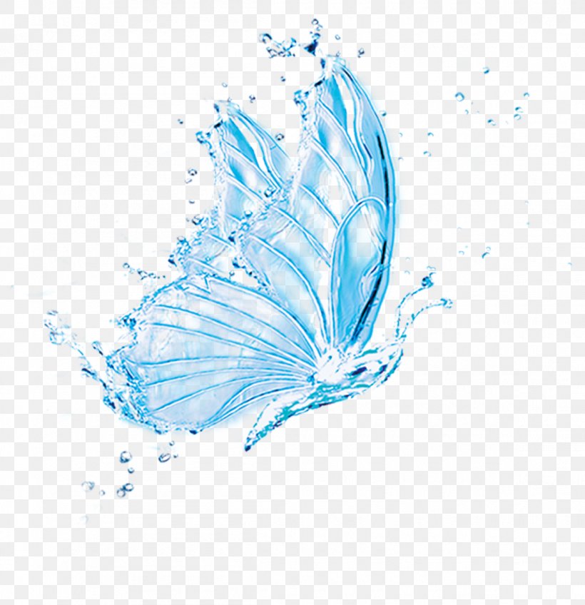 Download Water, PNG, 1150x1190px, 2d Computer Graphics, Water, Aqua, Butterfly, Invertebrate Download Free