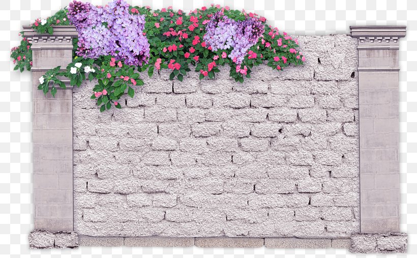 Garden Flower, PNG, 800x507px, Garden, Brick, Brickwork, Concrete, Data Download Free