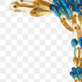 Peacock Images, Peacock Transparent PNG, Free download
