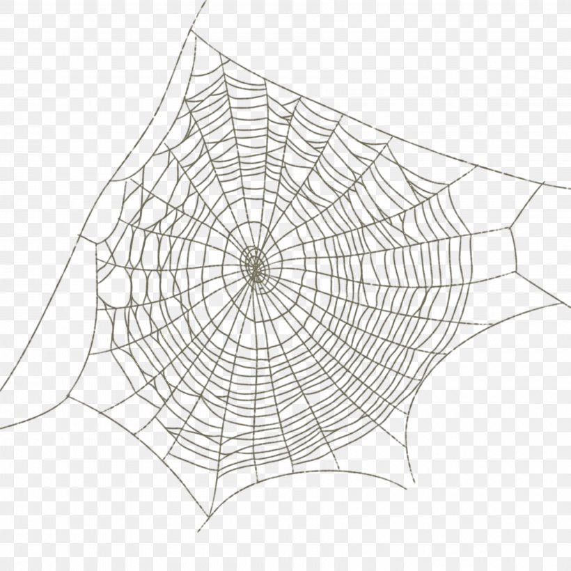 Spider Web Drawing, PNG, 3600x3600px, Spider, Area, Black And White, Data, Drawing Download Free