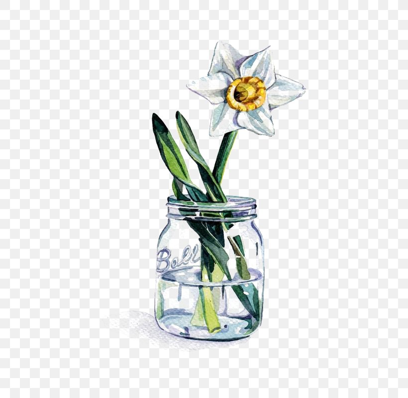 Watercolor Painting Glass Illustrator Illustration, PNG, 564x800px, Watercolor Painting, Bottle, Cut Flowers, Drinkware, Flora Download Free