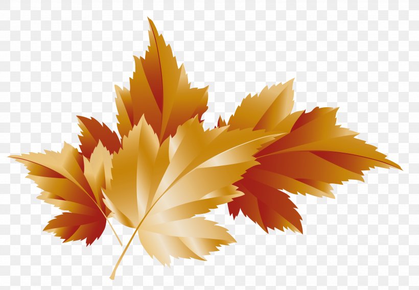 Autumn Clip Art, PNG, 4773x3308px, Autumn, Autumn Leaf Color, Color, Flowering Plant, Japanese Maple Download Free