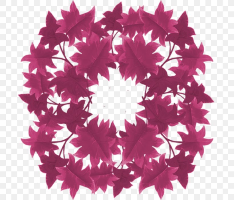 Pink M Symmetry, PNG, 700x700px, Pink M, Flower, Flowering Plant, Magenta, Petal Download Free