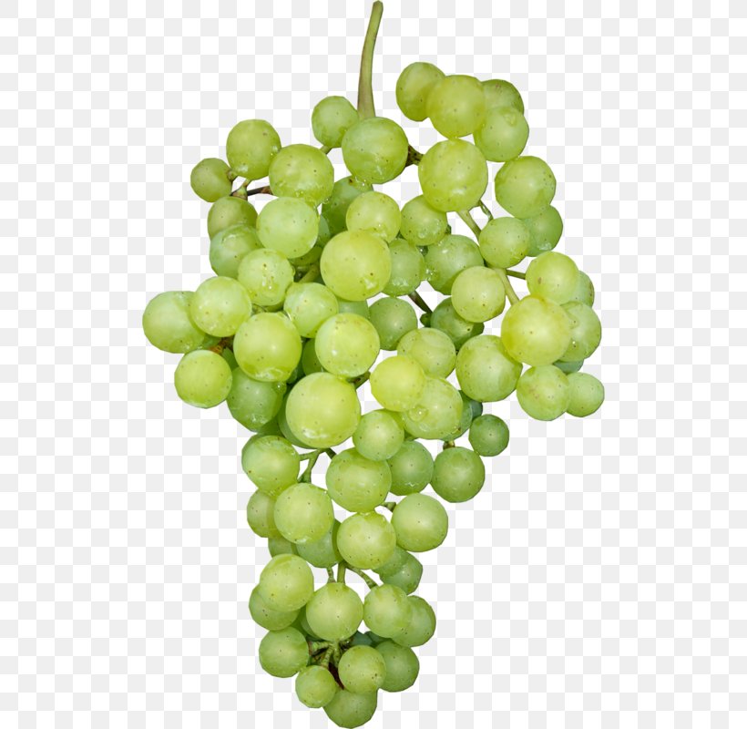 Sultana Verjuice Seedless Fruit Grape, PNG, 508x800px, Sultana, Food, Fruit, Grape, Grapevine Family Download Free