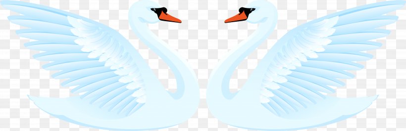 Wing Bird Duck Goose Cygnini, PNG, 5766x1875px, Wing, Anatidae, Beak, Bird, Cygnini Download Free