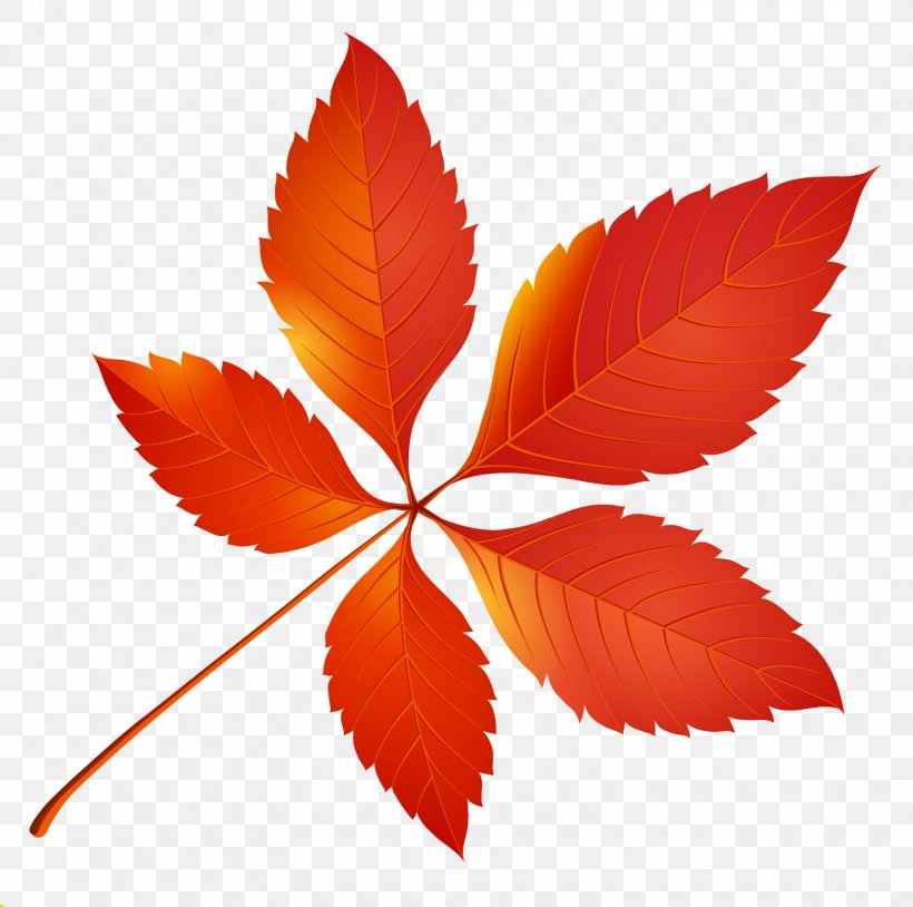 Autumn Leaf Color Clip Art, PNG, 1566x1555px, Autumn Leaf Color, Autumn, Color, Green, Leaf Download Free