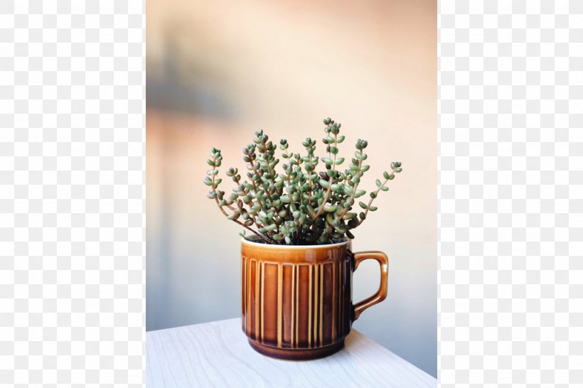 Coffee Cup Ceramic Flowerpot, PNG, 1024x682px, Coffee Cup, Ceramic, Cup, Flowerpot, Herb Download Free