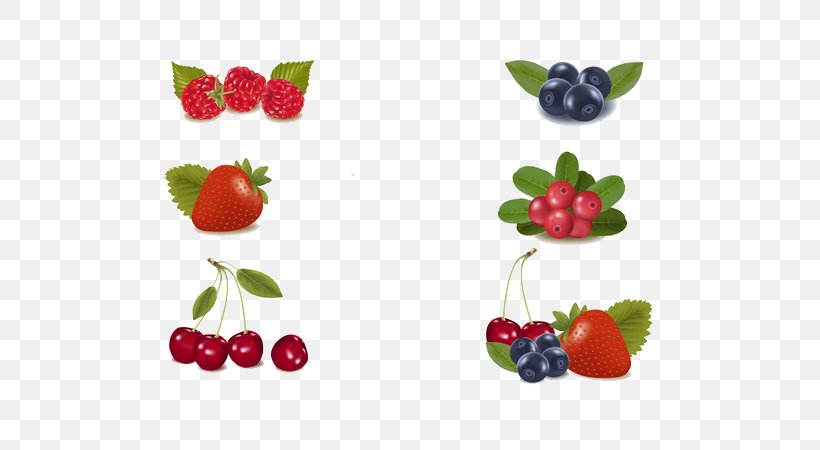 Milkshake Berry Fruit, PNG, 600x450px, Milkshake, Berry, Blackcurrant, Blueberry, Cherry Download Free