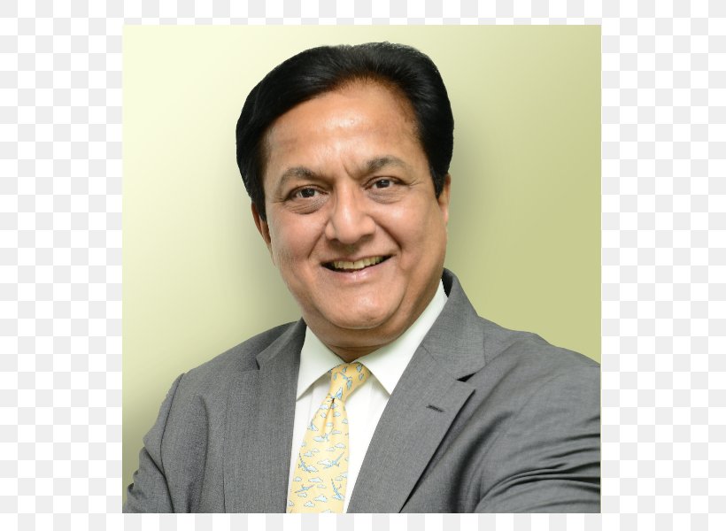 Rana Kapoor India Yes Bank Chief Executive, PNG, 800x600px, Rana Kapoor, Bank, Board Of Directors, Business, Businessperson Download Free