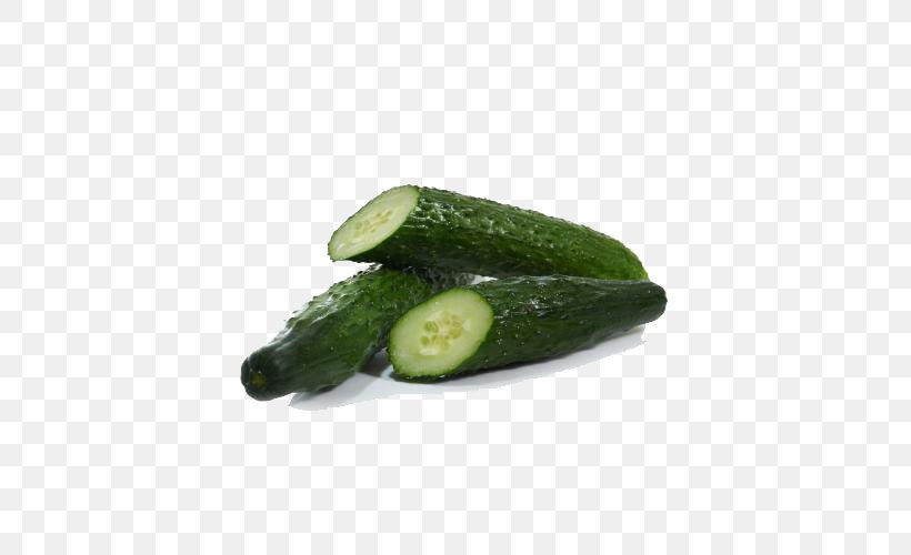 Slicing Cucumber Vegetable Gratis Pepino, PNG, 500x500px, Slicing Cucumber, Auglis, Cucumber, Cucumber Gourd And Melon Family, Cucumis Download Free