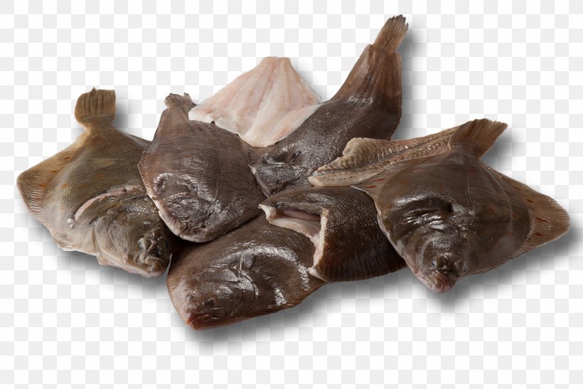 Pig's Ear Snout, PNG, 1310x874px, Pig, Animal Source Foods, Ear, Snout Download Free