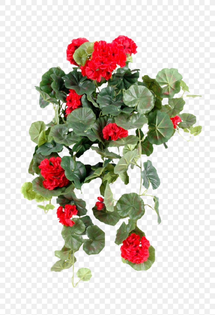 Artificial Flower Garden Roses Pelargonium Peltatum Green, PNG, 800x1203px, Flower, Annual Plant, Artificial Flower, Color, Common Ivy Download Free