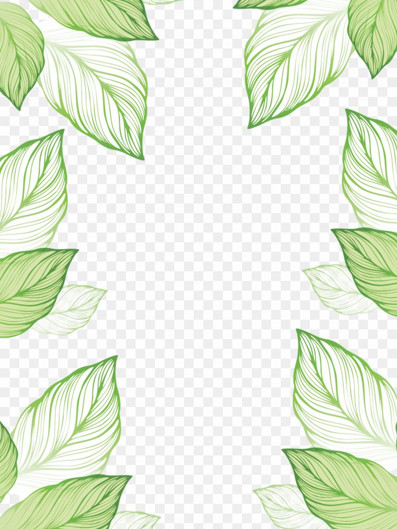 Leaf, PNG, 3545x4724px, Leaf, Flora, Grass, Green, Ifwe Download Free
