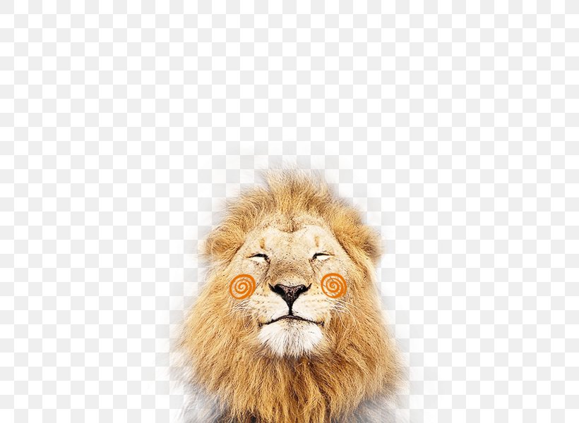 Lionhead Rabbit Felidae Cheetah Cougar, PNG, 600x600px, Lion, Animal, Big Cat, Big Cats, Carnivoran Download Free
