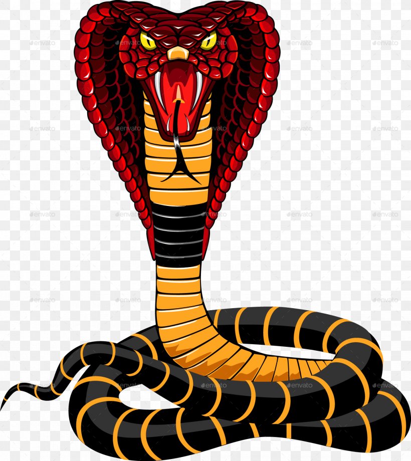 Snake Vipers Indian Cobra King Cobra, PNG, 1438x1614px, Snake, Art, Cobra, Cobras, Elapidae Download Free